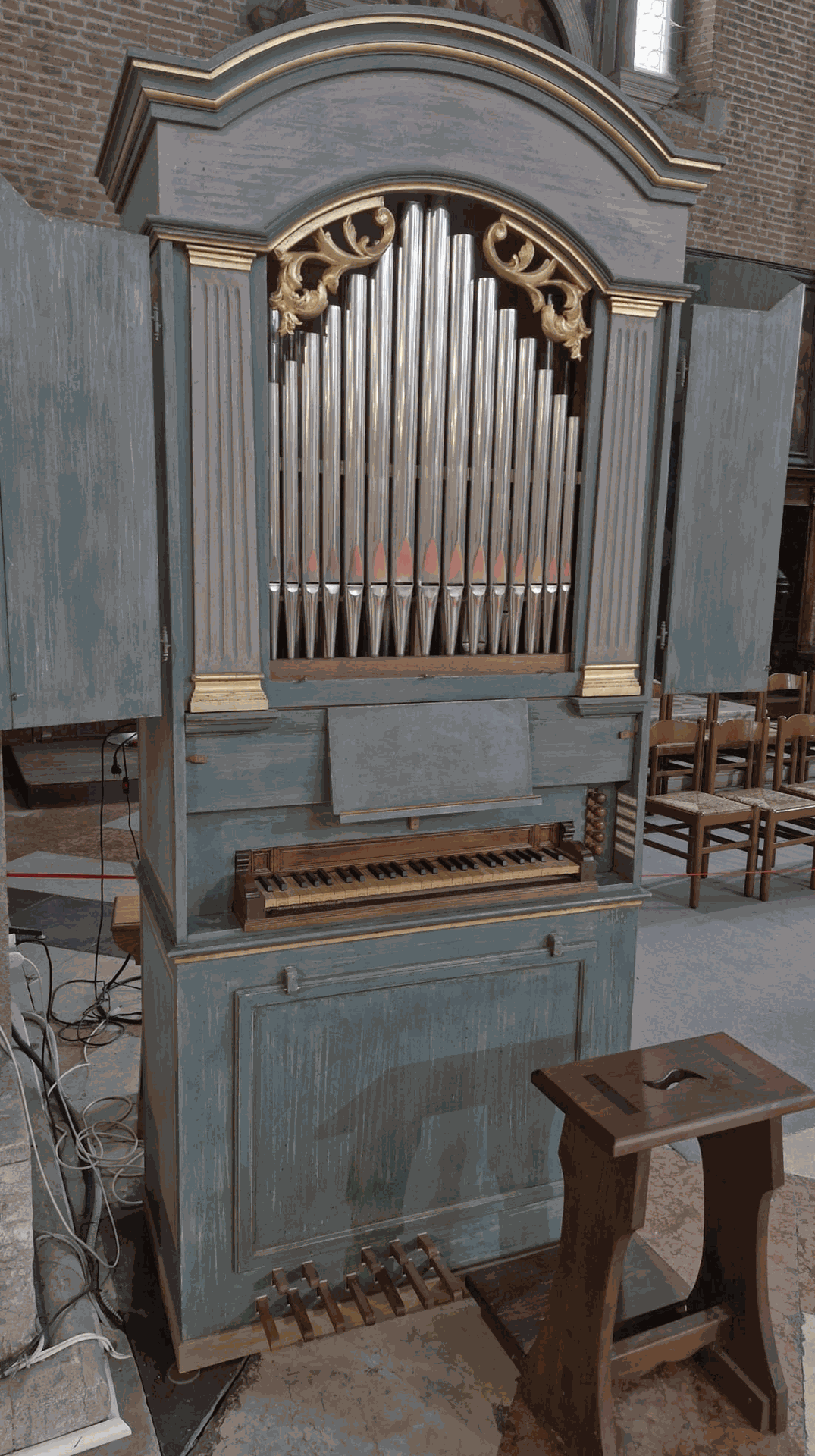 Organo positivo ZANIN (1)