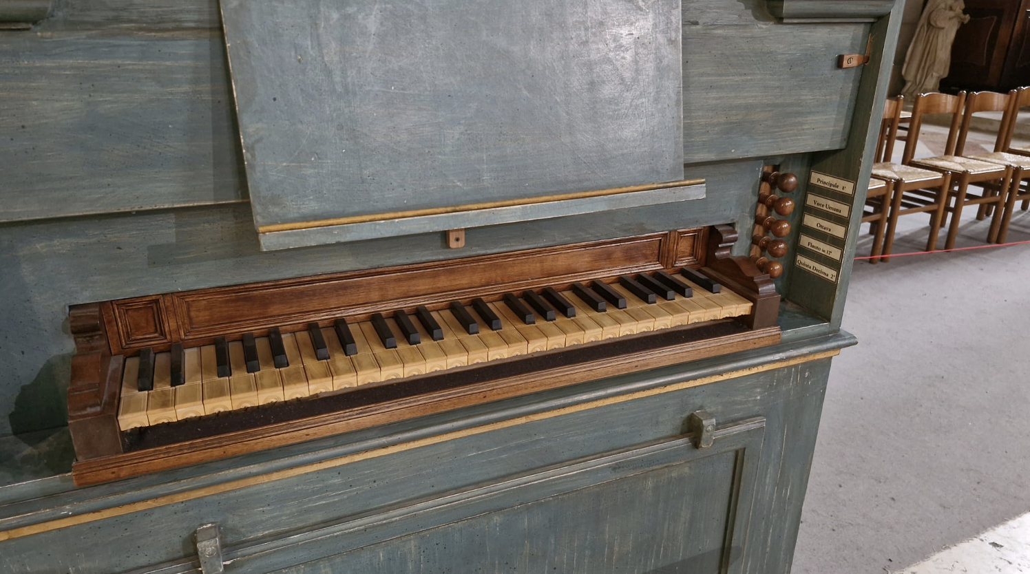 Organo positivo ZANIN (2)