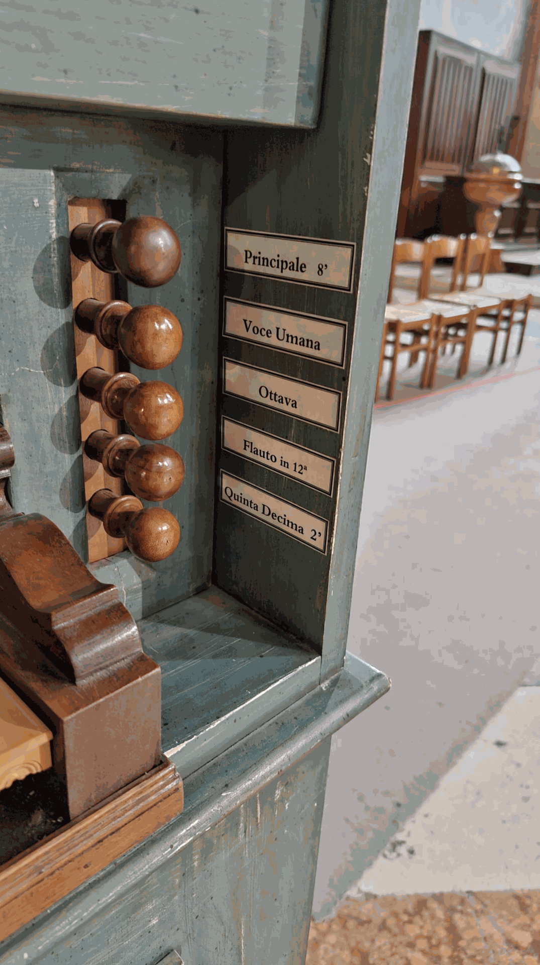 Organo positivo ZANIN (3)