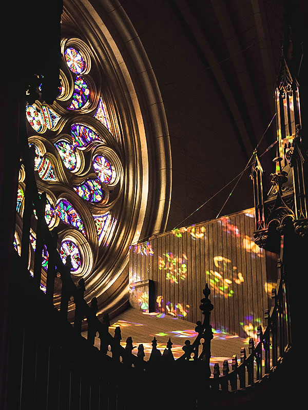 dalbade_thomas-guillin_gallery