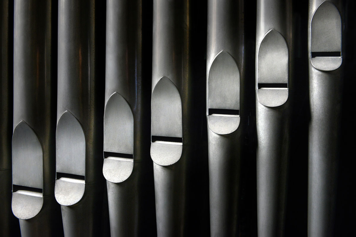 taur_4_galibert_tlo_gallery