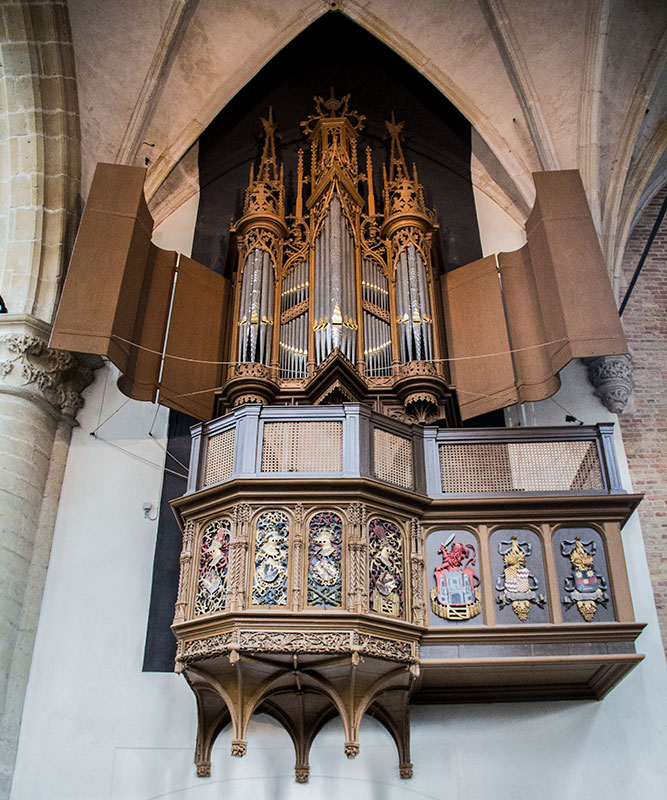 laurens_cov2_gallery