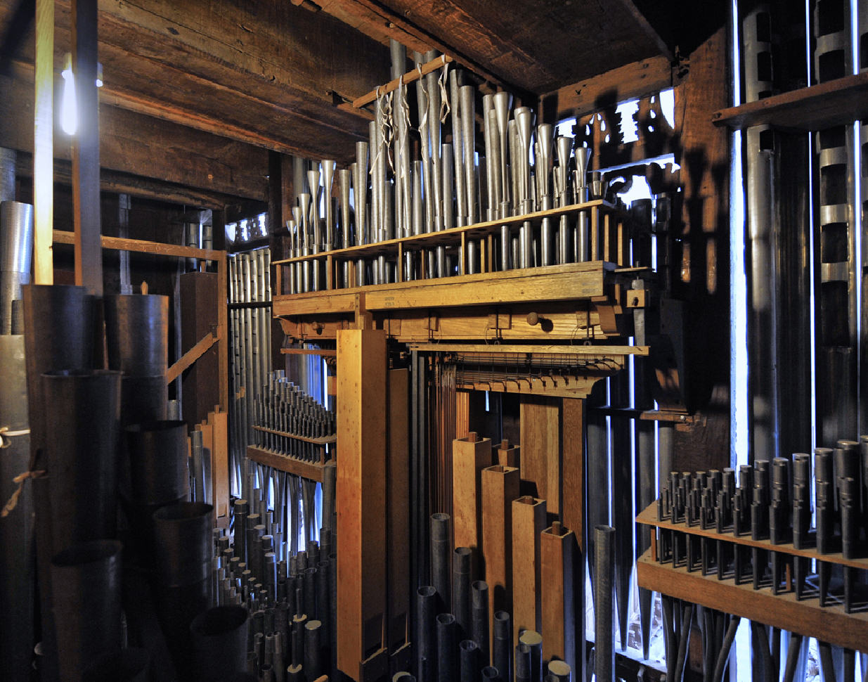 Toulouse-les-Orgues-grand-orgue-Saint-Pierre-des-Chartreux-4